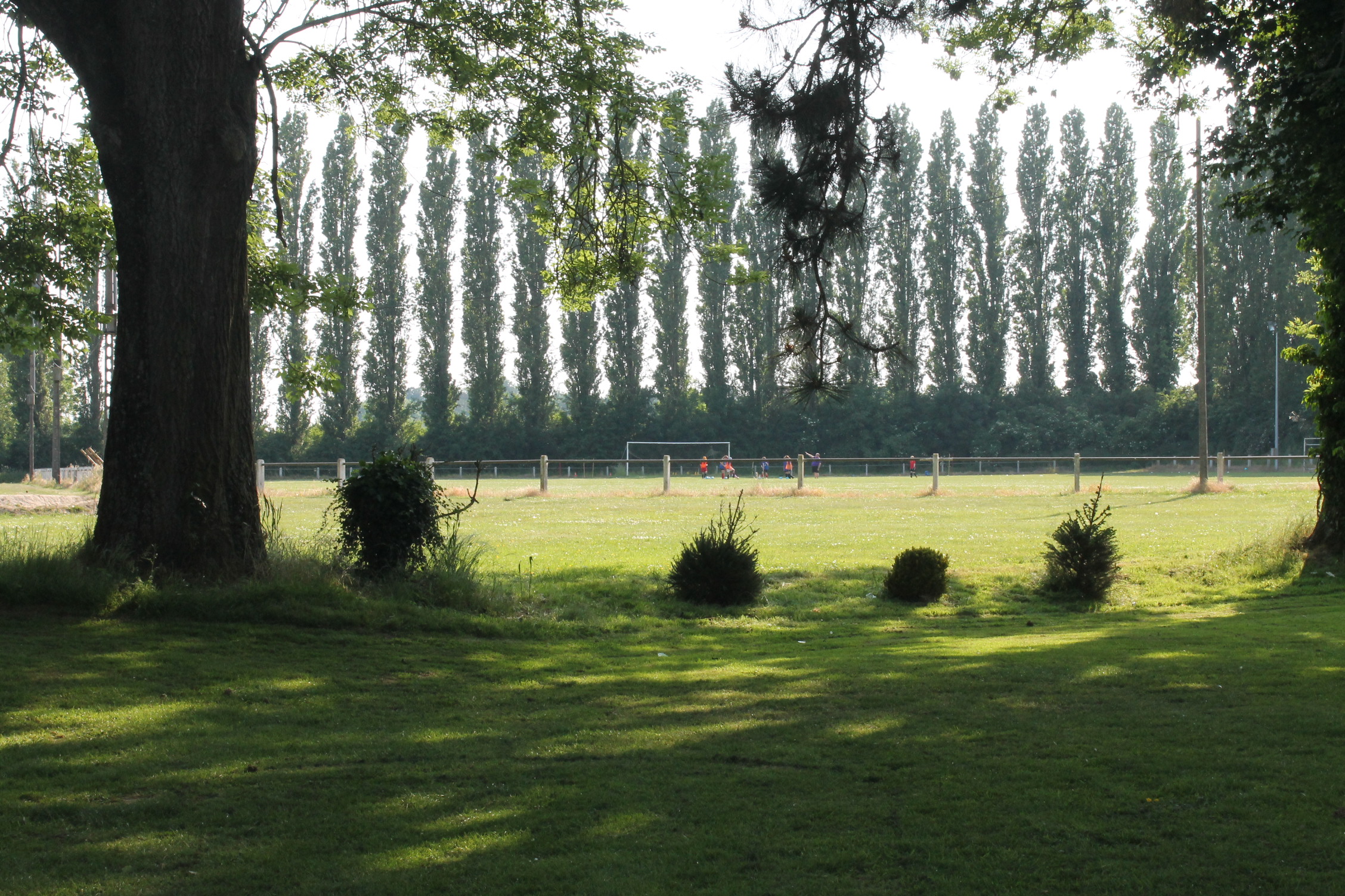 Terrain de football